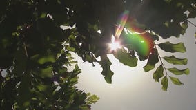 Heat warning issued for LA area through Tuesday night