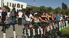 A day without electric scooters