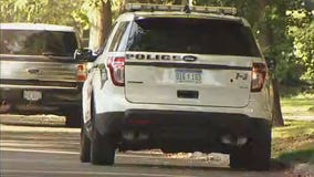 Chihuahua scares off intruder attempting to strangle woman in Grosse Pointe Park home