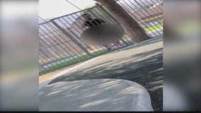 Police trying to identify man seen in video touching himself near park