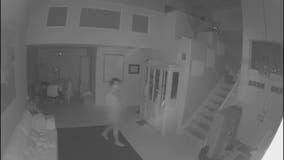 Naked Intruder Arrest in Fontana