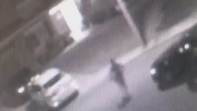 Hunt is on for a man who attacked women with machete-style weapon