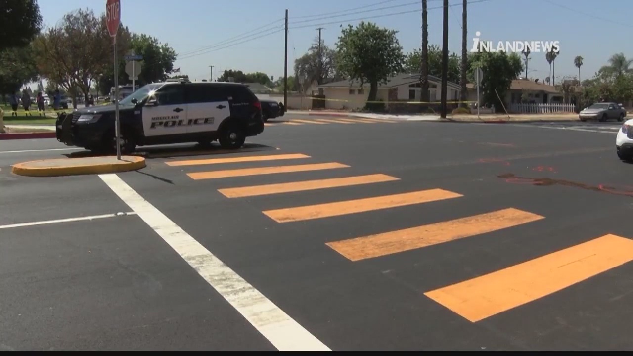 Boy hit and killed in crosswalk