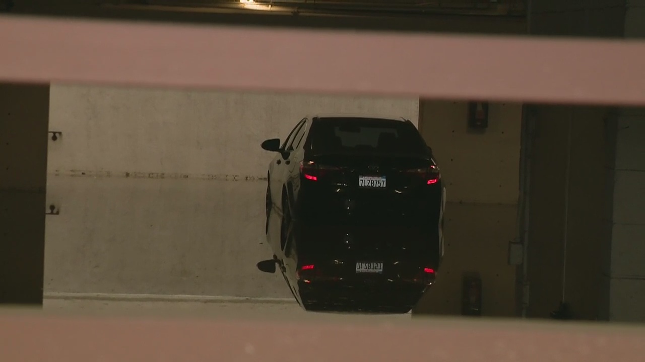 Clean up underway after water main break in Hollywood