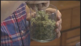 Los Angeles charges 105 cannabis locations with illegal activity