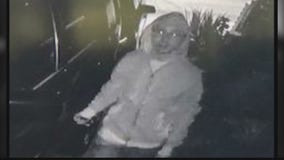 Search for vandal keying cars in Walnut