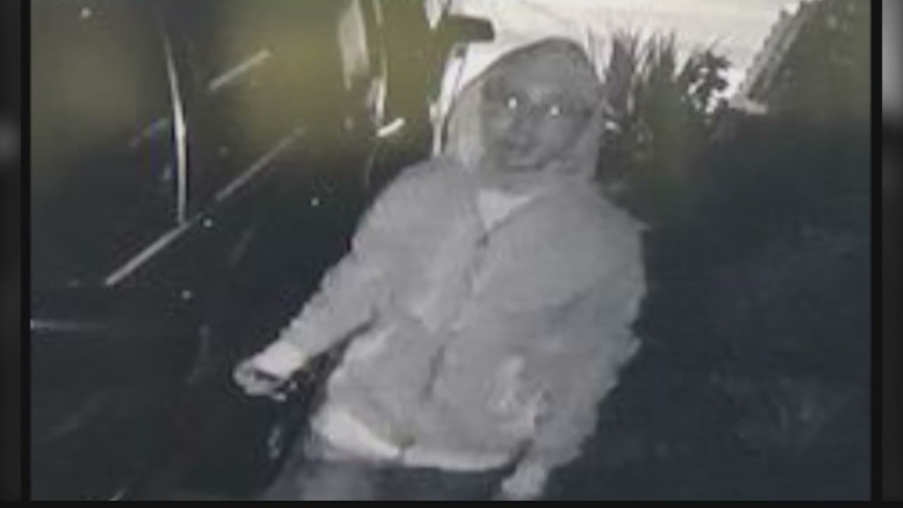 Search for vandal keying cars in Walnut