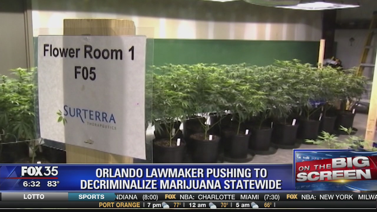 Lawmaker pushing to decriminalize pot statewide