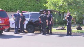 Attempted burglary in Beverly Hills