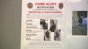 Homeless man beaten found beaten to death under Santa Monica Pier