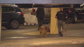 Woman arrested in Rolling Hills Estates killing files damages claim