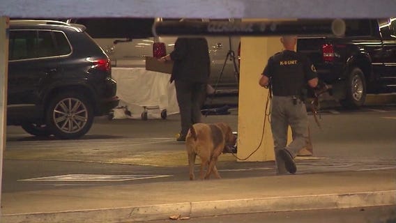 Woman arrested in Rolling Hills Estates killing files damages claim