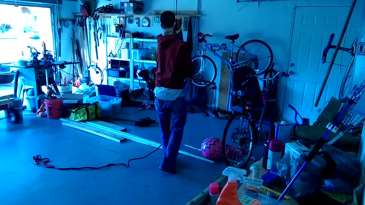 Florida man finds alligator in garage