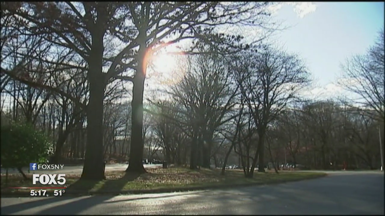 NYC real estate: Bronx