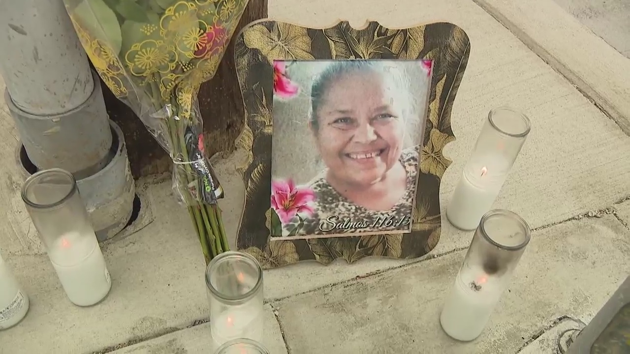 Family of hit-and-run victim appeals for help catching suspect