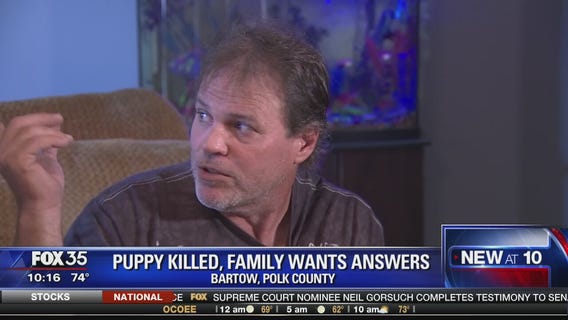 Puppy killed and family wants answers