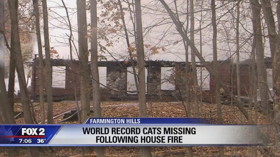 Guinness record-holding cats feared dead in house fire
