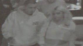 Police seek driver in Hollywood hit-and-run