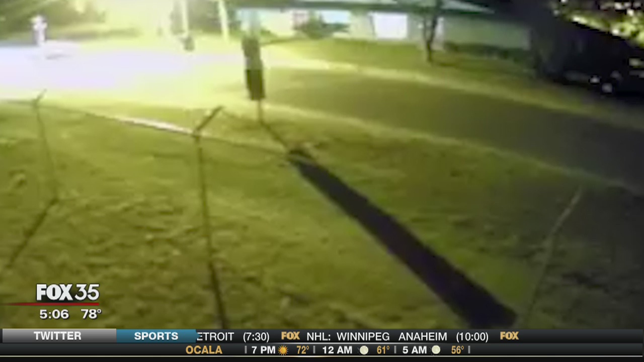 Gainesville drive-by shooting