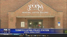 Termites eating Apopka police station