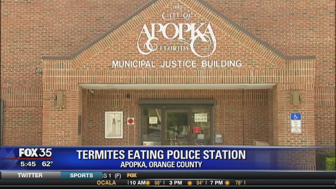 Termites eating Apopka police station