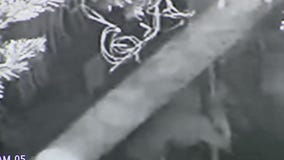 Grinch caught on camera stealing custom Christmas decorations