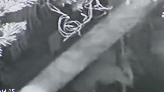 Grinch caught on camera stealing custom Christmas decorations