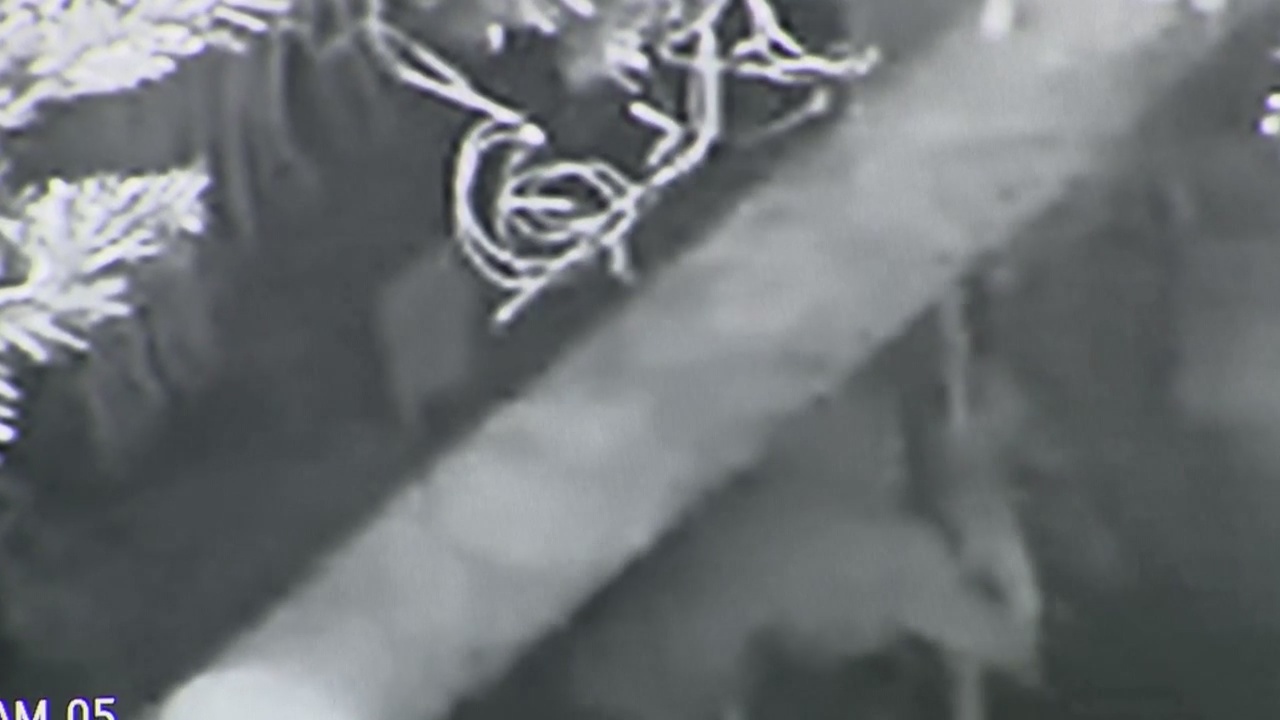 Grinch caught on camera stealing custom Christmas decorations