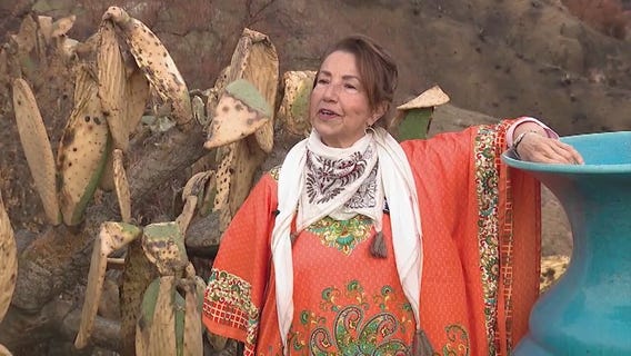 Woolsey Fire victims re-visit their homes as transformed women