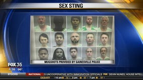 Sex sting bust in Gainesville