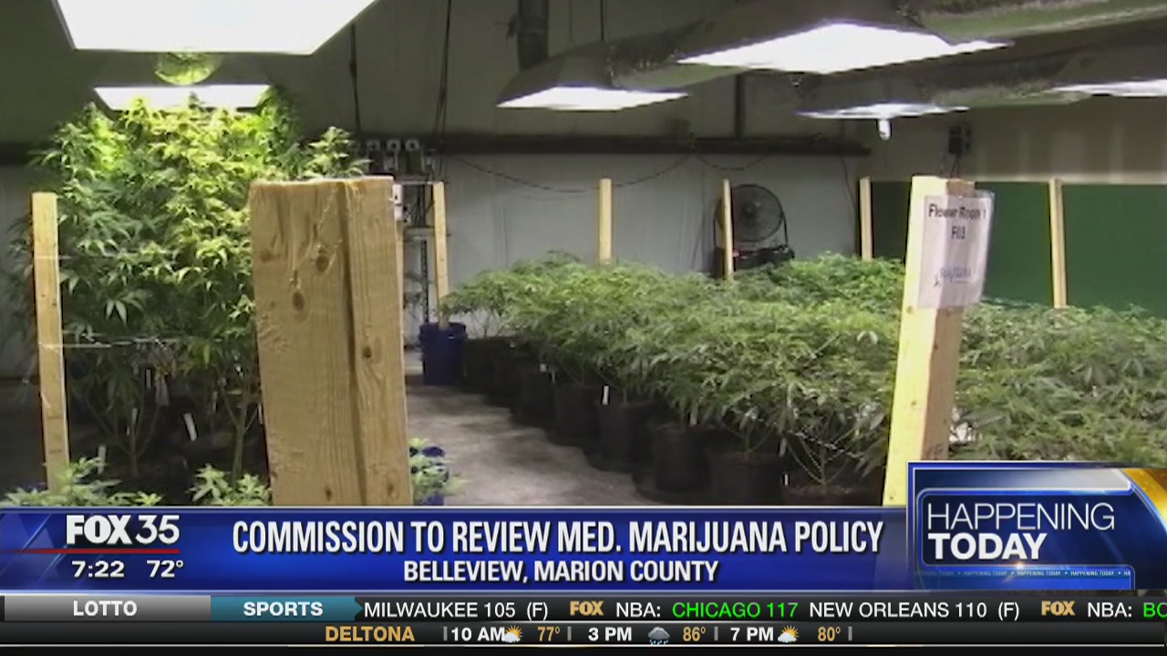 Commission to review Medical Marijuana Policy