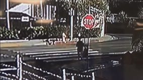 Woman severely injured in hit-and-run