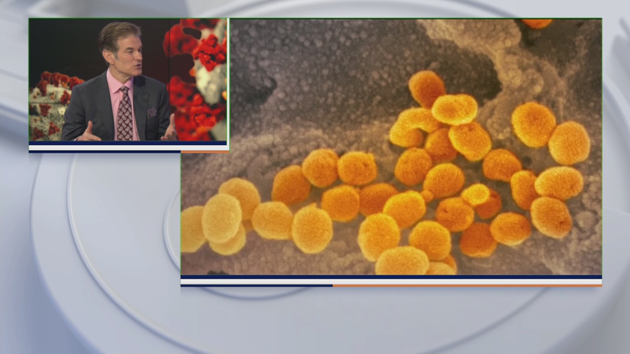 Dr. Oz discusses coronavirus fears