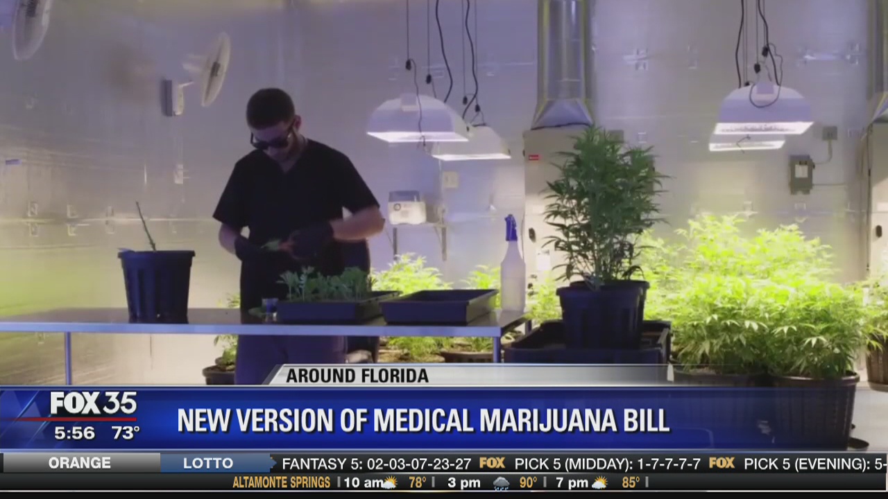 New version of medical marijuana bill