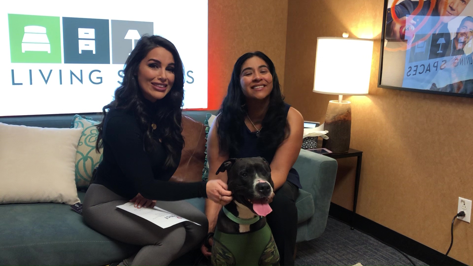 Pet Project: Sammy from League of Extraordinary Mutts