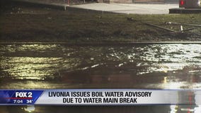 Water main breaks prompt boil water advisory in Livonia