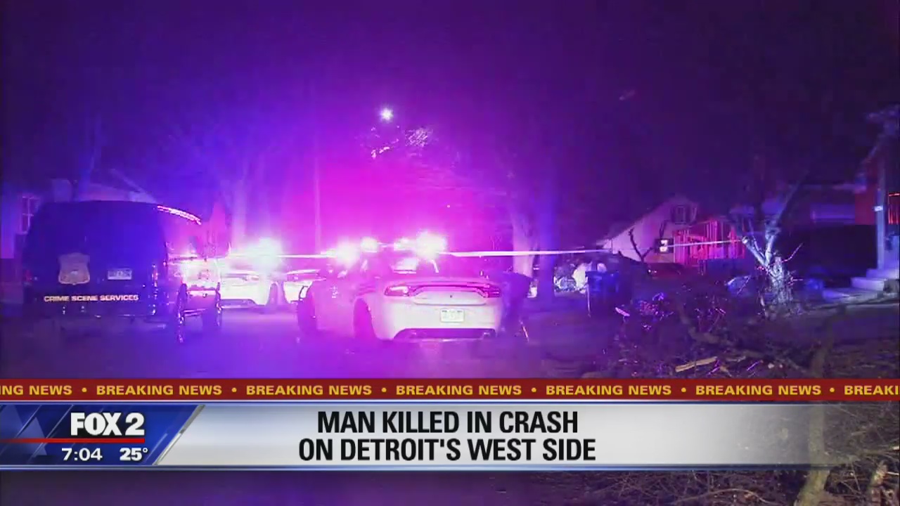 Driver killed after car crashes into tree, catches fire