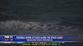 Possible shark attacks along the space coast
