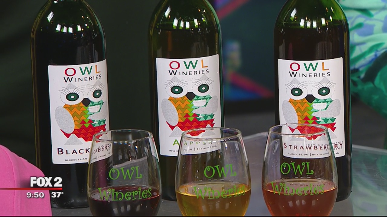 Owl Wineries making Michigan fruit wines