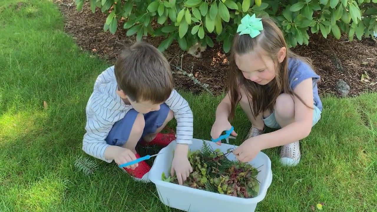 Tips to keep kids busy during summer months amid pandemic