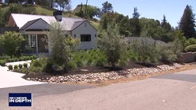 Pandemic's impact on property taxes