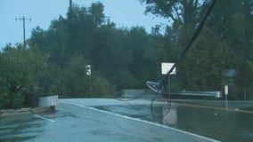 Fallen tree knocks down power lines in Ojai