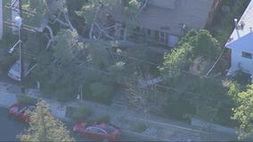 High winds causing problems in SoCal