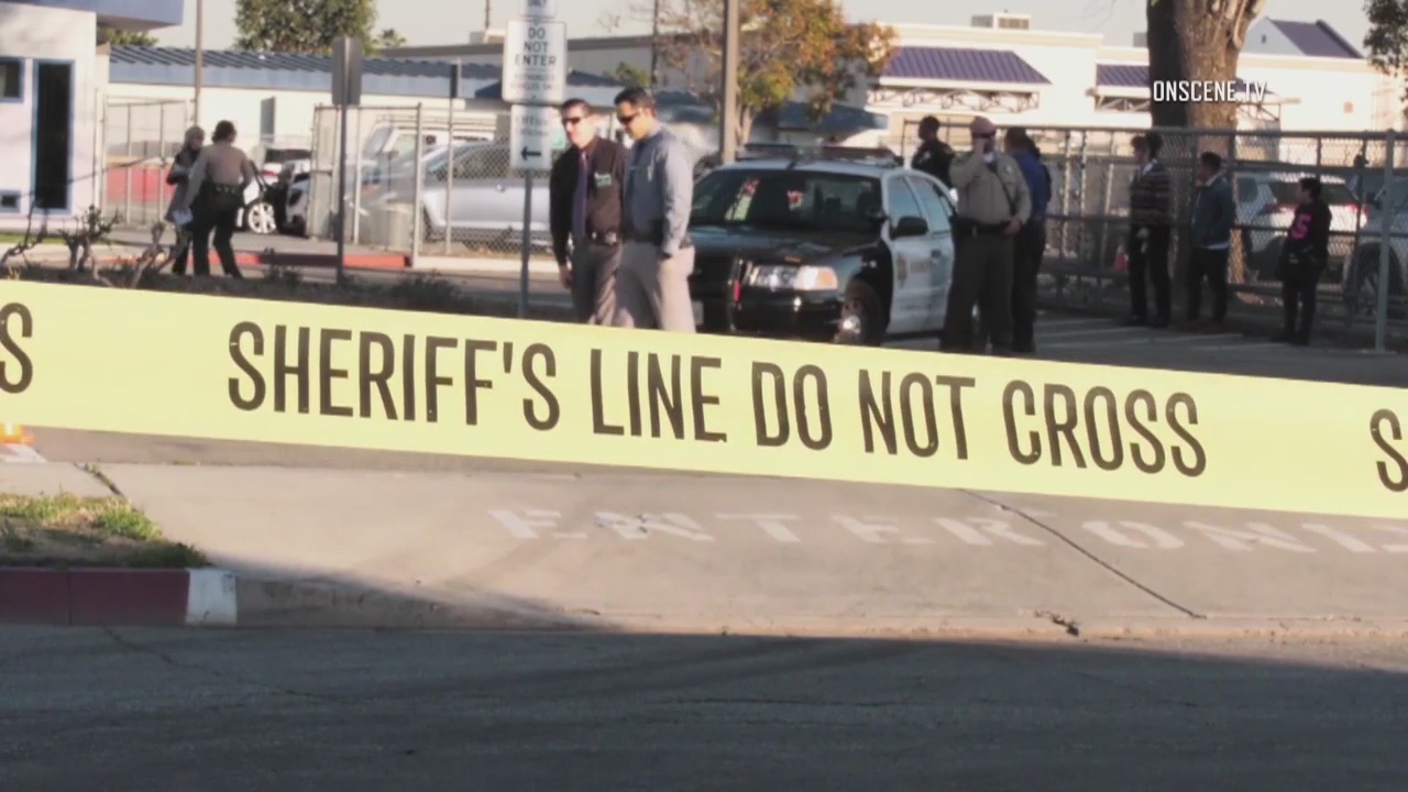 4-year-old boy shoots mother