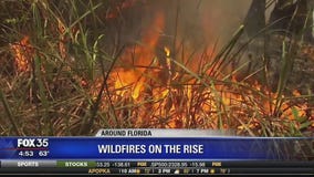 Wildfires on the rise