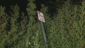 Hollywood Hills residents fear rain may have weakened hillside