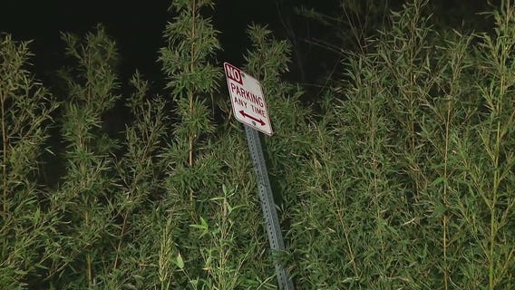 Hollywood Hills residents fear rain may have weakened hillside