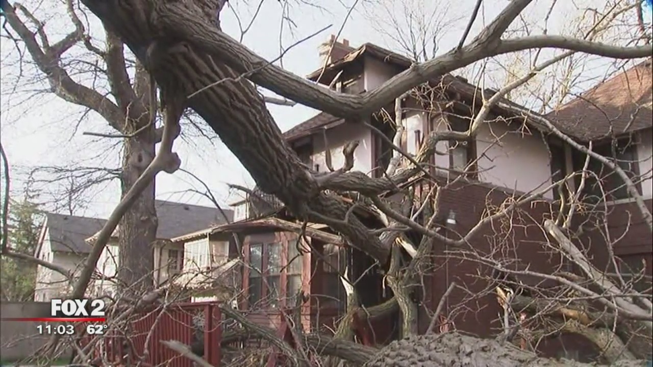 dte-90-percent-of-260k-customers-in-dark-to-be-restored-by-sunday