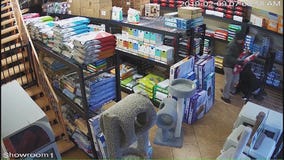 Thieves steal dog food from pet food store