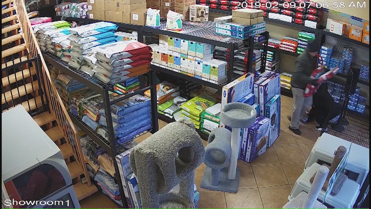 Thieves steal dog food from pet food store